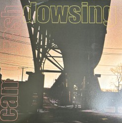 Camp Trash / Dowsing Split