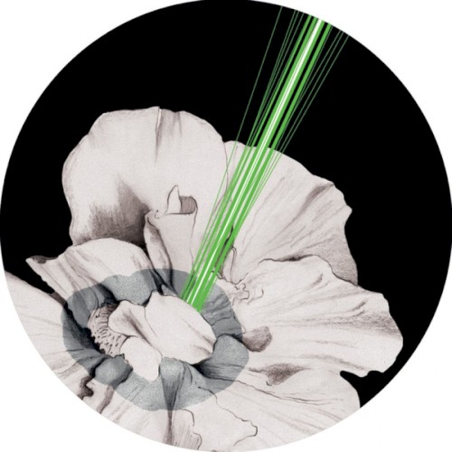 Kaşmir Remixes #2