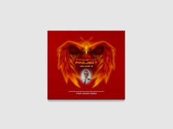 The Phoenix Project, Volume 2