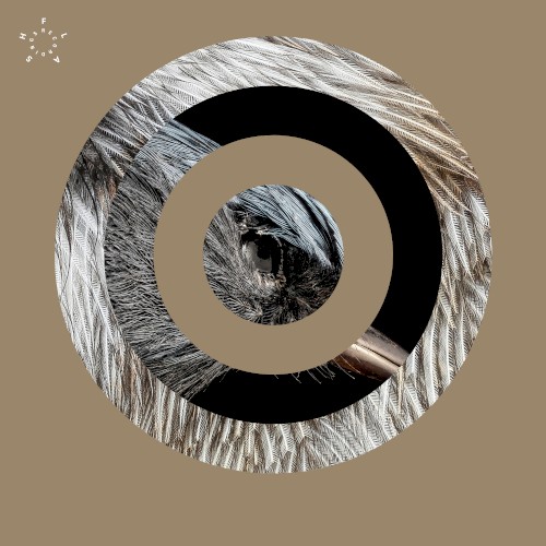 Tensor EP