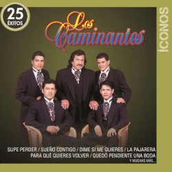 Íconos: 25 éxitos