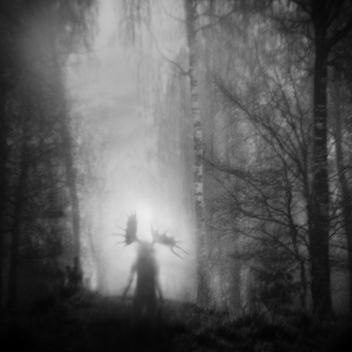 From the Infinite Light