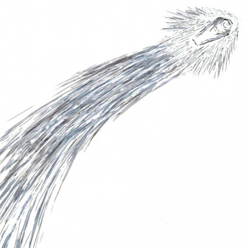 Coffin Comet