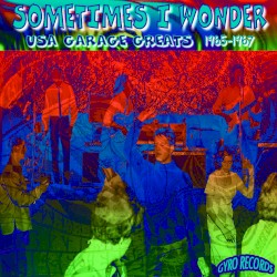 USA Garage Greats 1965–1967, Vol. 68: Sometimes I Wonder