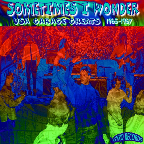 USA Garage Greats 1965–1967, Vol. 68: Sometimes I Wonder