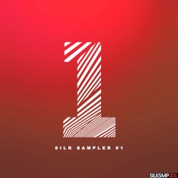 Silk Sampler #1