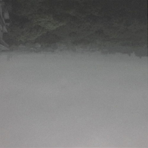 ecofuturism