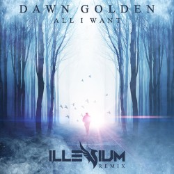 All I Want (Illenium remix)
