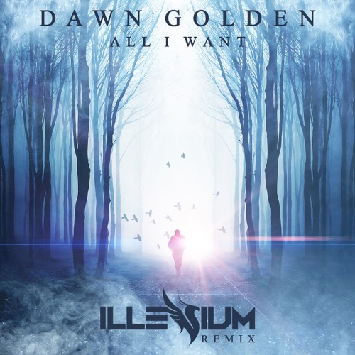 All I Want (Illenium remix)