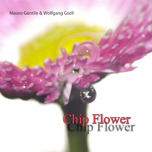 Chip Flower