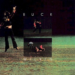 Buck Wilkin