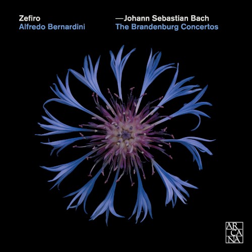 The Brandenburg Concertos