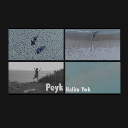 Hâlim Yok