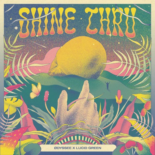 shine thru
