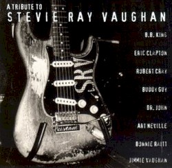 A Tribute to Stevie Ray Vaughan