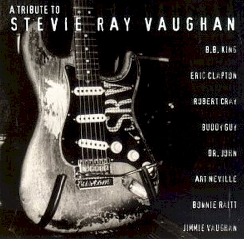 A Tribute to Stevie Ray Vaughan