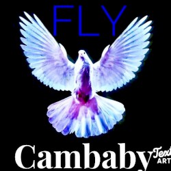 Fly