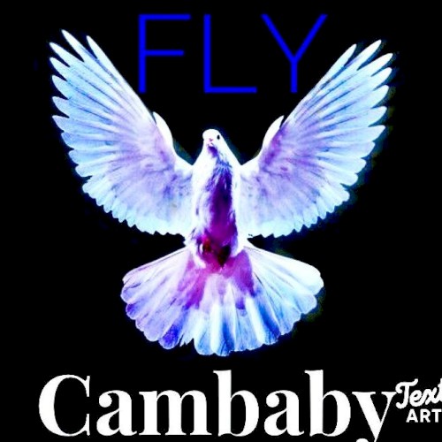 Fly