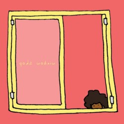 Window Shop