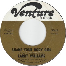 Shake Your Body Girl / Love, I Can't Seem to Find It