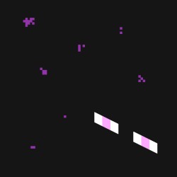 Warp