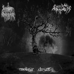 Molasar Dream's