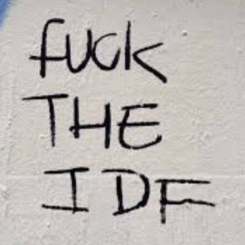 IDF (IDIOT DEFENSE FORCE)
