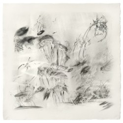 Cicada Lullaby