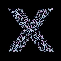 X Amada