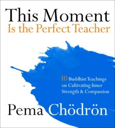 This Moment Is the Perfect Teacher