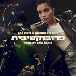 פרובוקטיבית