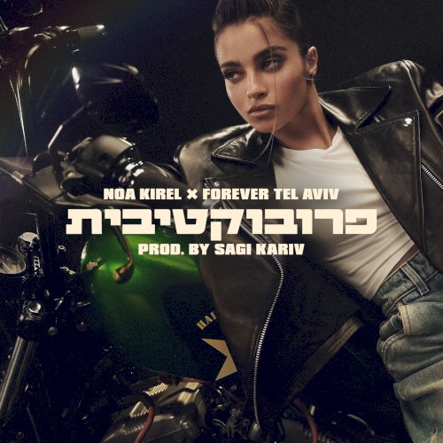 פרובוקטיבית