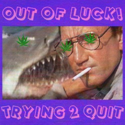 Trying 2 Quit