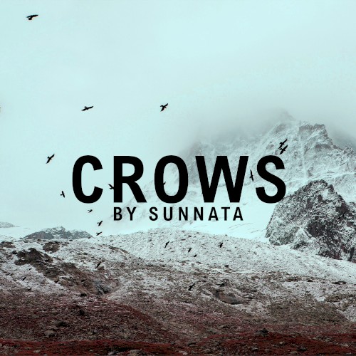 Crows