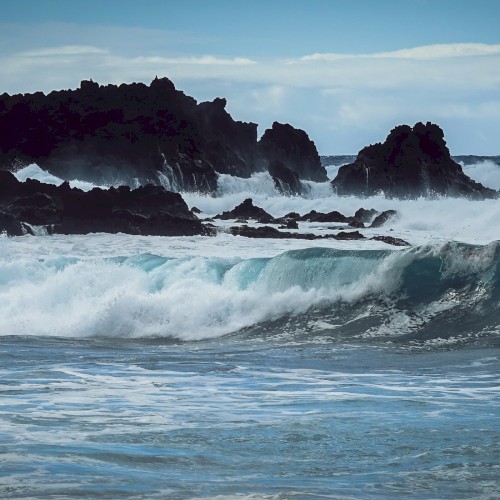 The Waves