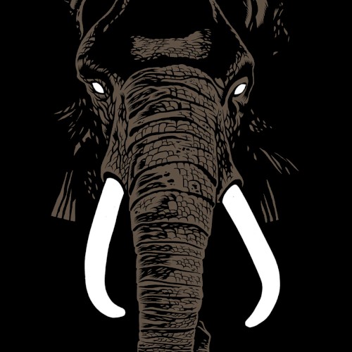 Don't Buy Ivory Anymore! The Music of Henri Texier