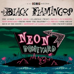Neon Boneyard