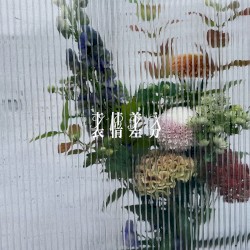 表情差分