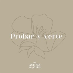Probar y Verte (Violín Instrumental)