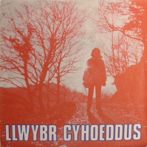 Llwybr Cyhoeddus