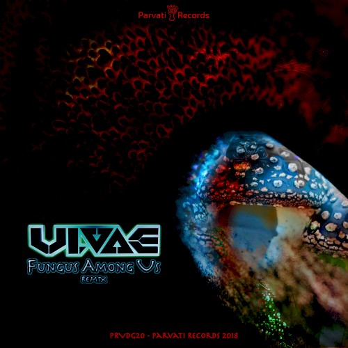 Fungus Among Us (Remix)