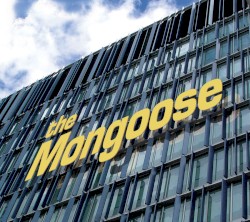 The Mongoose