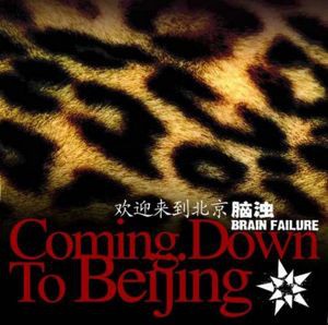 Coming Down to Beijing