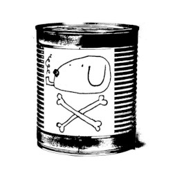 Brooklyn salsa