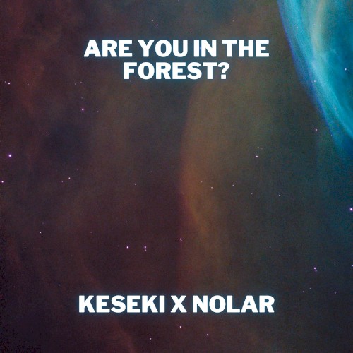 Are you in the forest?