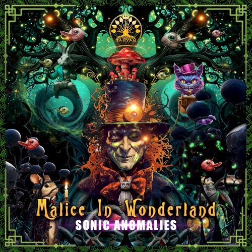 Sonic Anomalies