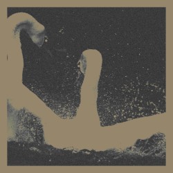 Nihhus / Likvaka