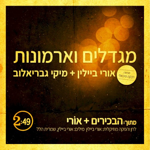 מגדלים וארמונות