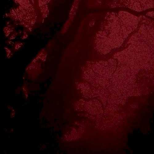a ritual killing on 70mm