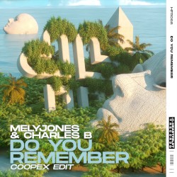 Do You Remember (Coopex Edit)